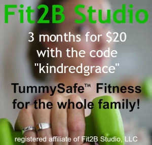 fit2b