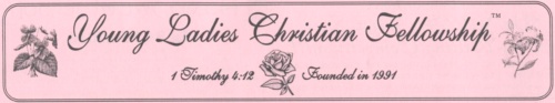 The YLCF Newsletter 1996-1997
