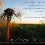 a-chance-to-die500.jpg
