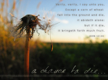 a-chance-to-die500.jpg
