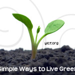 green.jpg