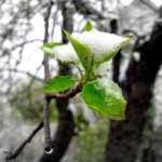 IMG_5396.jpg