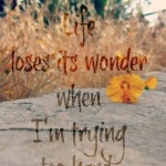 wonder1-480x600.jpg