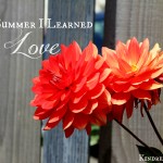 The Summer I Learned Love @natashametzler