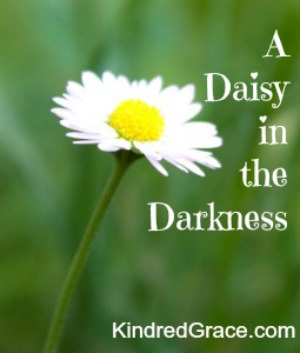 A Daisy in the Darkness