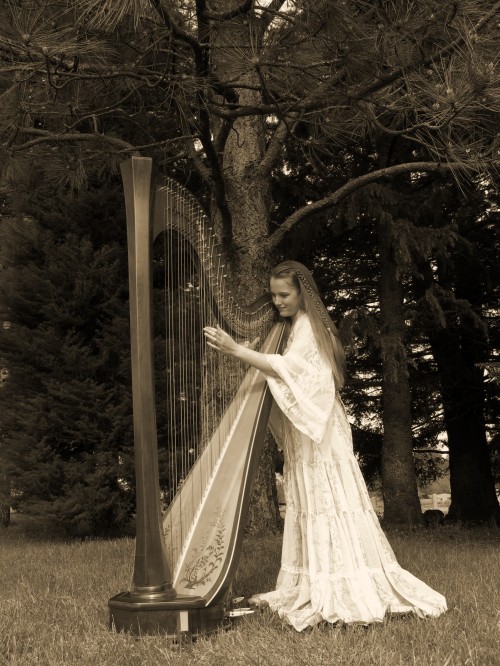 praise the Lord with a harp