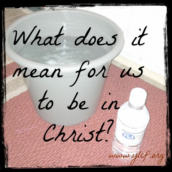 Christ in You, You in Christ Kindred Grace