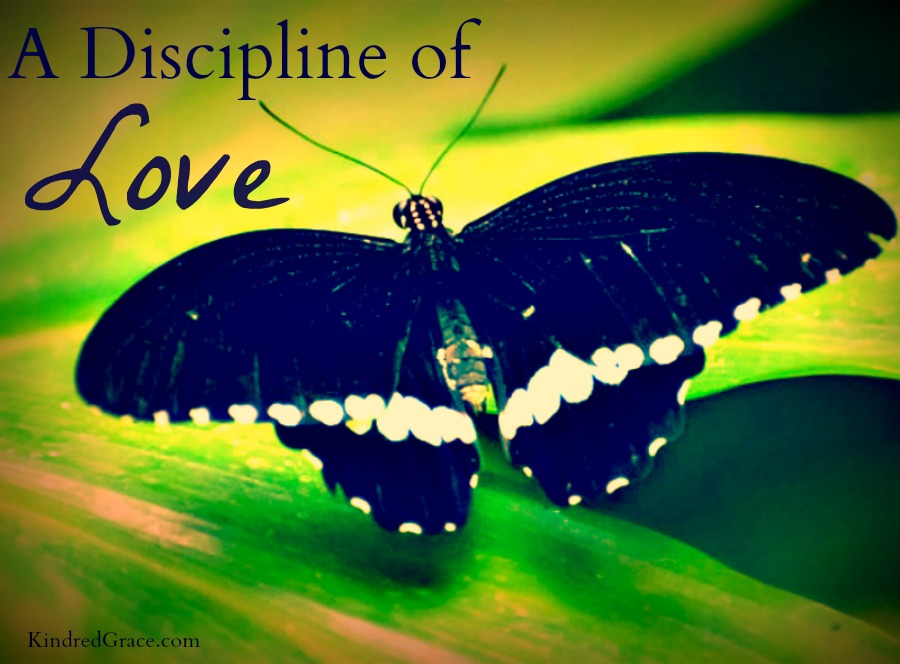 A Discipline of Love