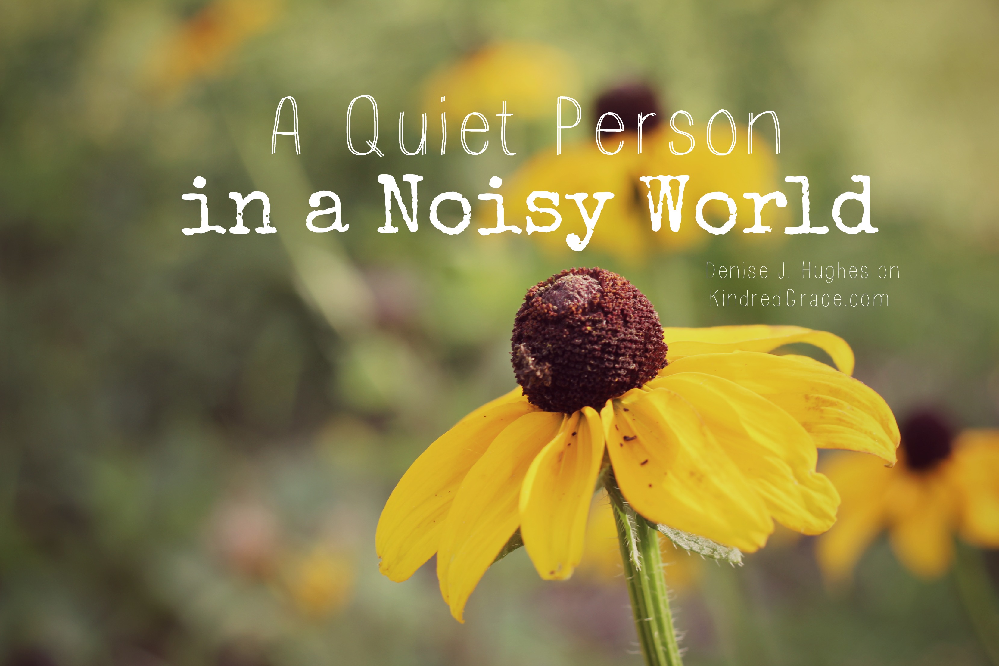 A Quiet Person in a Noisy World