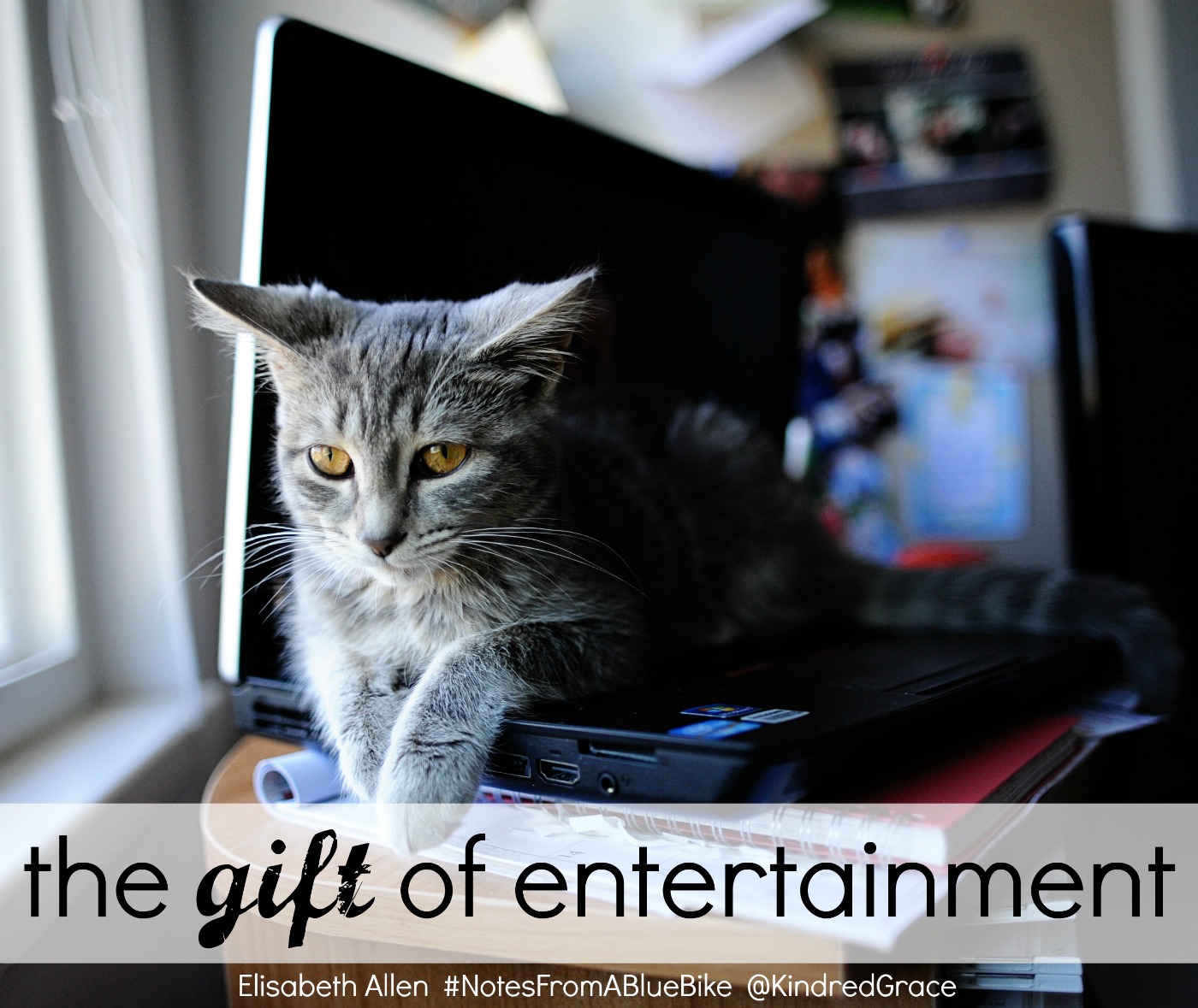 the gift of entertainment