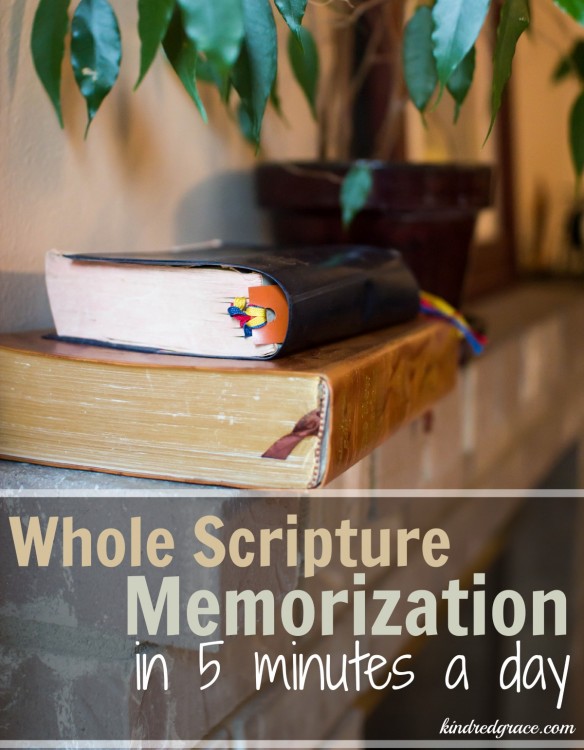 Whole Scripture Memorization in 5 Minutes a Day