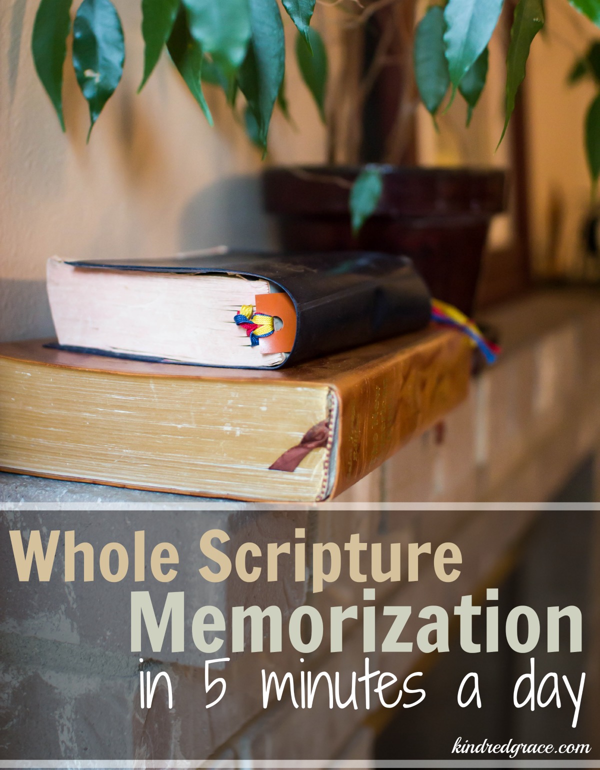 Whole Scripture Memorization (in 5 minutes a day)