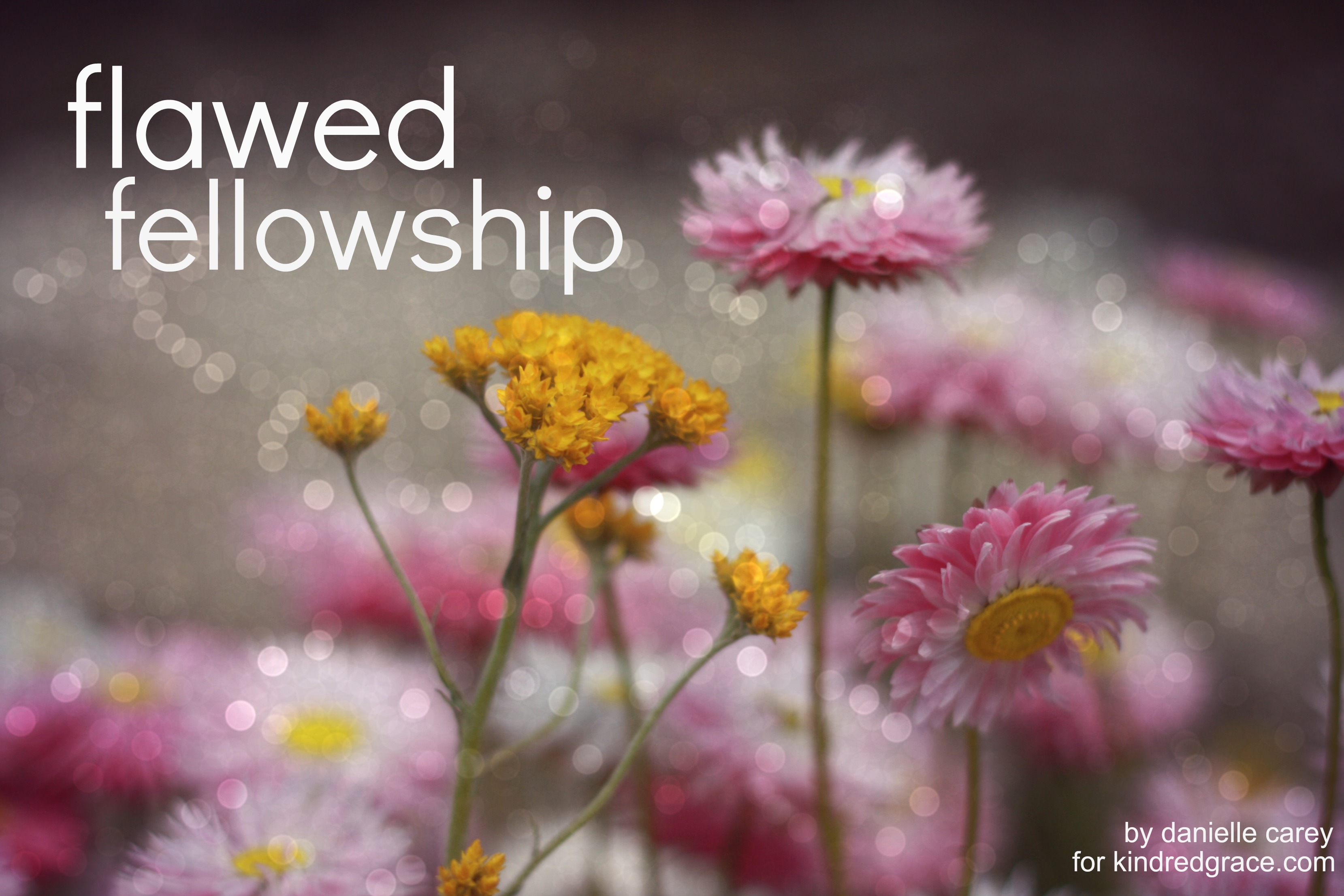 flawed fellowship