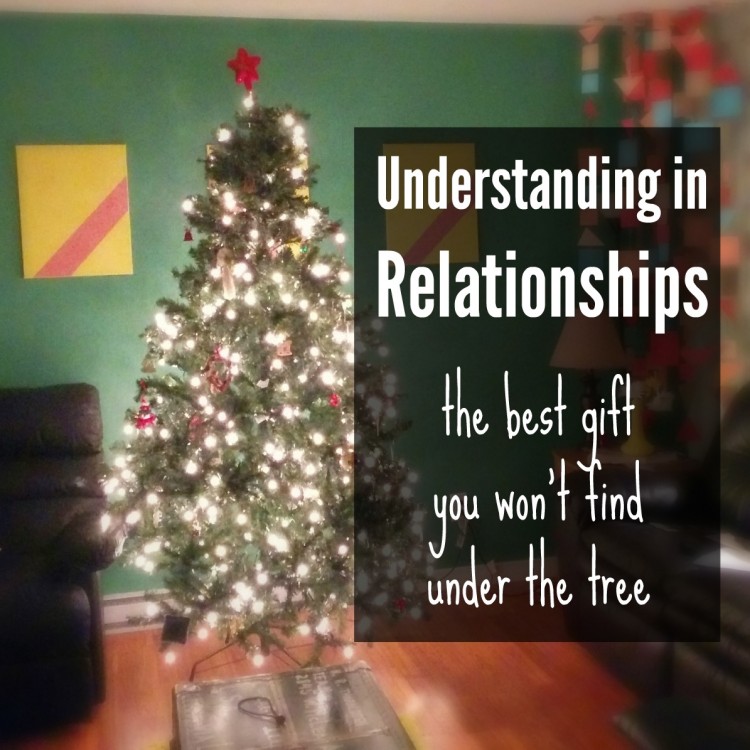 Understanding in Relationships: the best gift you won't find under the tree