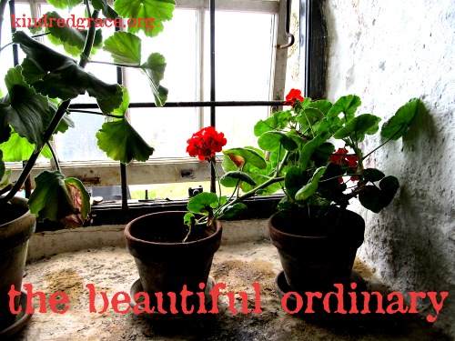 the beautiful ordinary