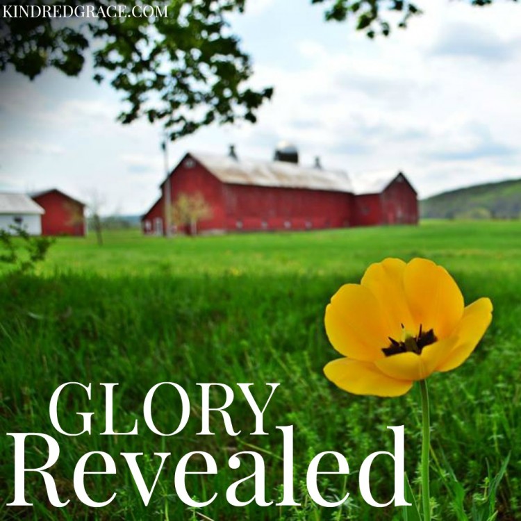 glory revealed