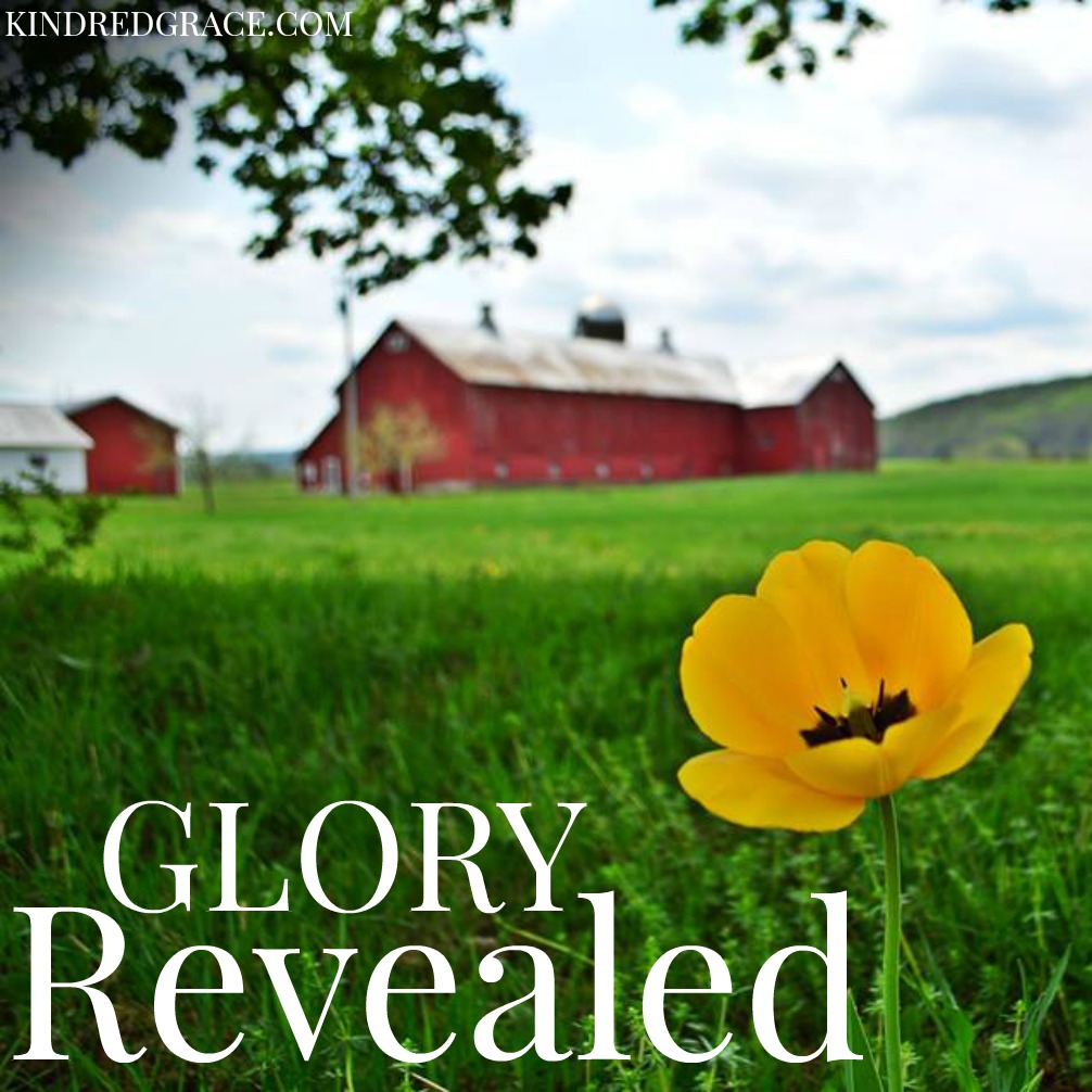 Glory Revealed