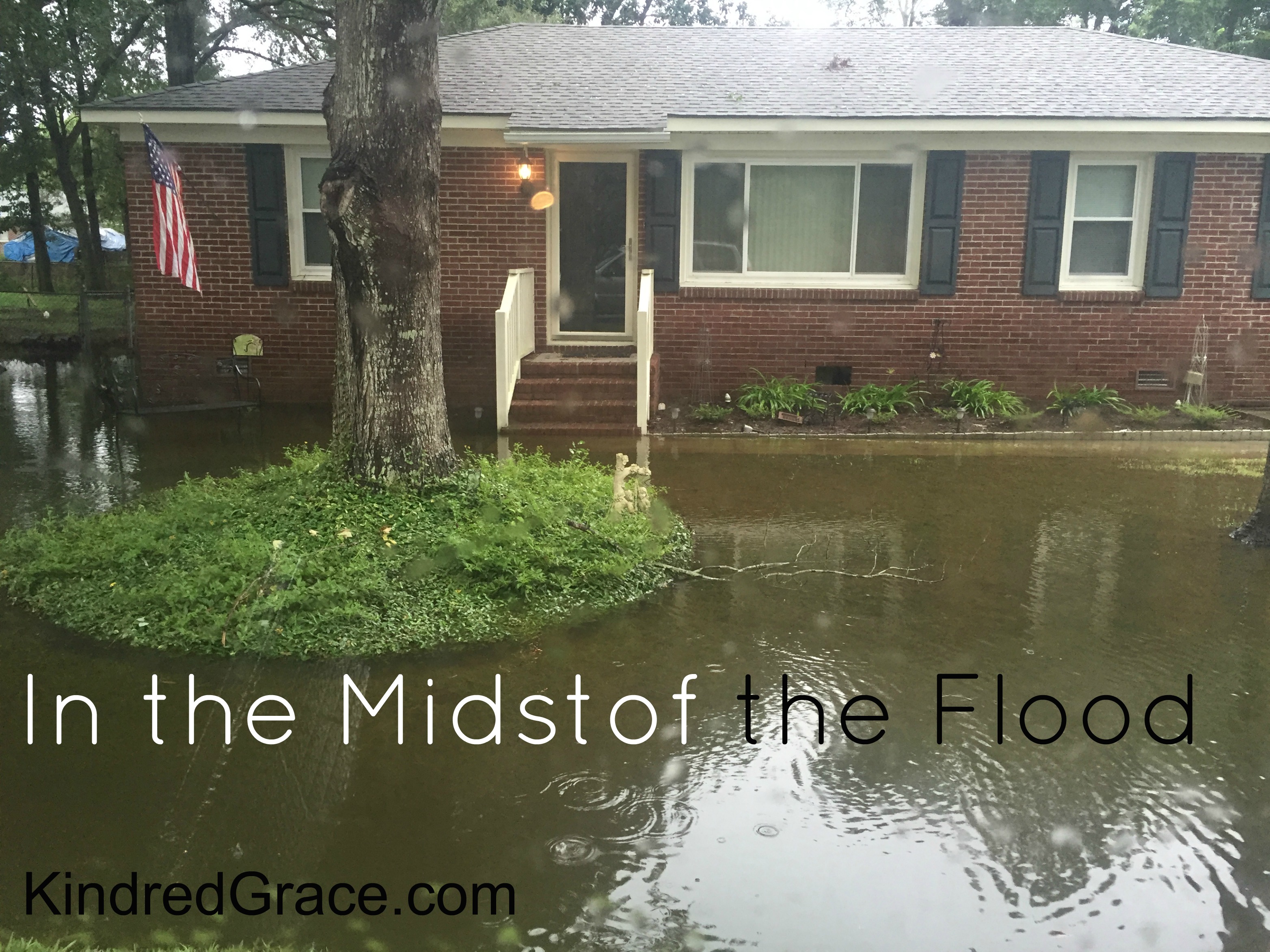 In the Midst of the Flood