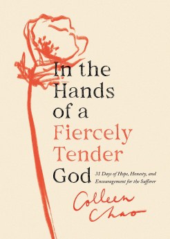 In the Hands of a Fiercely Tender God