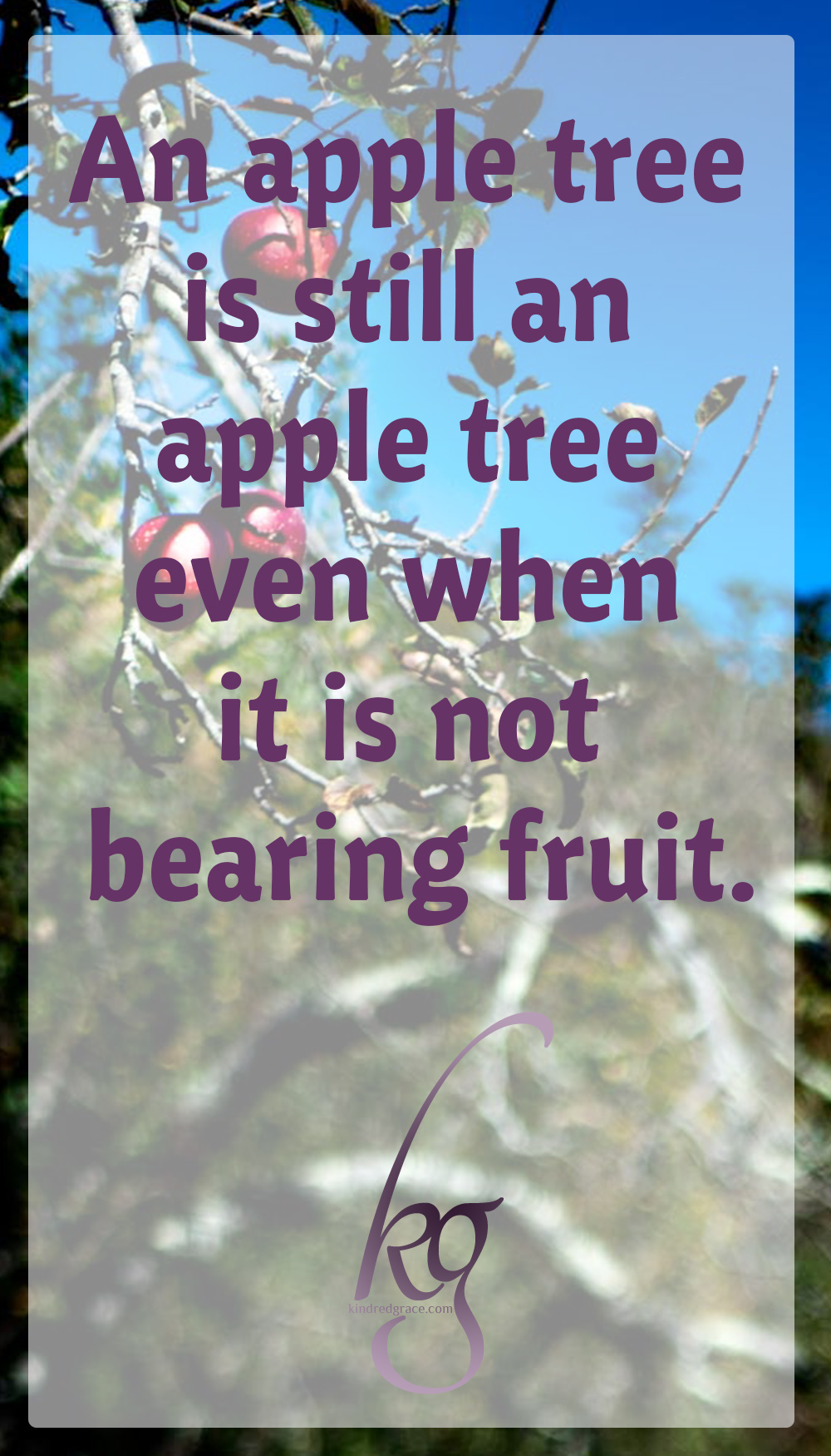 The apple tree is not merely an apple tree only when bearing fruit. Its identity remains the same in that long dormant season the Lord intended for maturation, as in the ordained time of fruit-bearing. via @KindredGrace