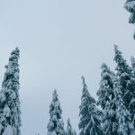 For When You Want to Cry on Christmas - Kindred Grace