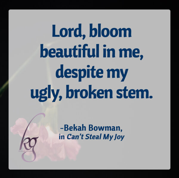 “…please, Lord, radiate strong from my being, through my broken stem and beaten leaves, right to my new and beautiful bloom. My broken stem shows my weakness, and my new bloom shows that You take brokenness and make it SO beautiful… Bloom beautiful in me, despite my ugly, broken stem.” (Can’t Steal My Joy: The Journey to a Different Kind of Brave by Bekah Bowman)