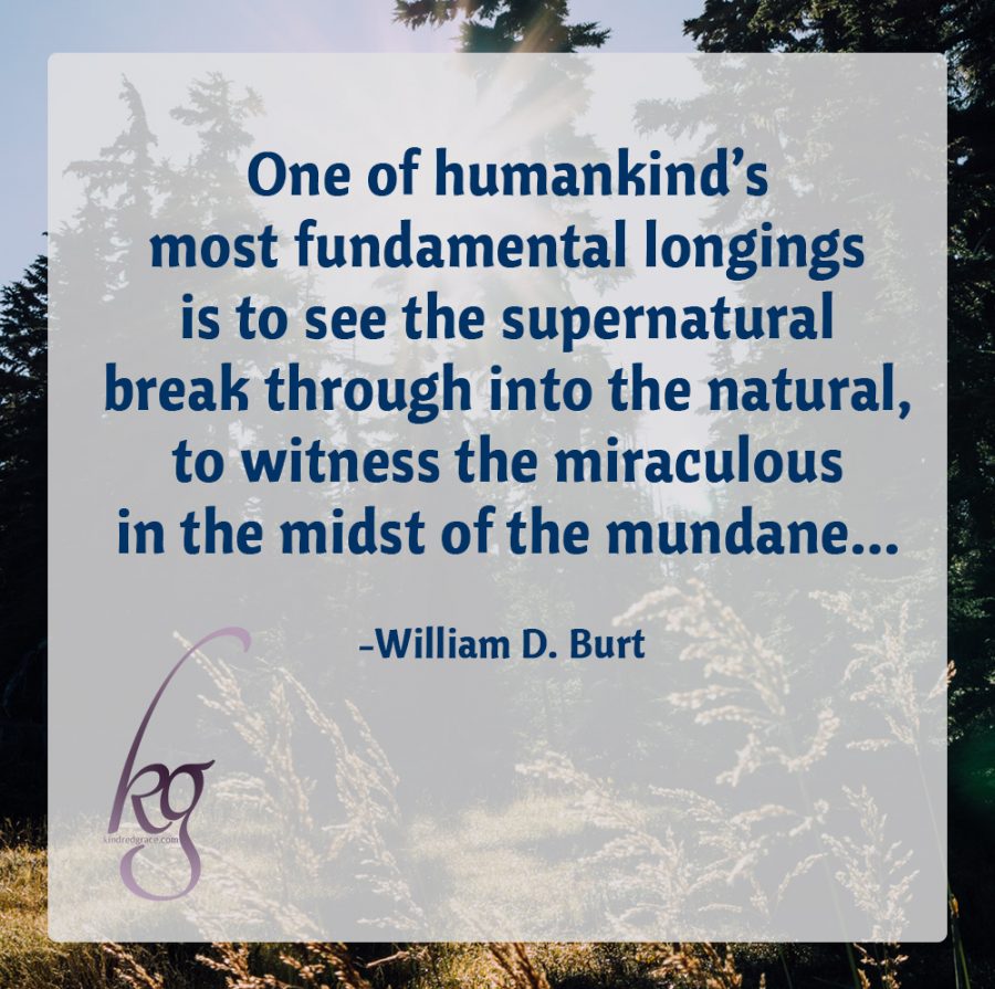 “One of humankind’s most fundamental longings is to see the supernatural break through into the natural, to witness the miraculous in the midst of the mundane... This yearning arises not so much out of an escapist mentality, but from a hunger to assure ourselves that there is more to life than the purely tangible, that our earthly existence has a cosmic purpose."

(William D. Burt)