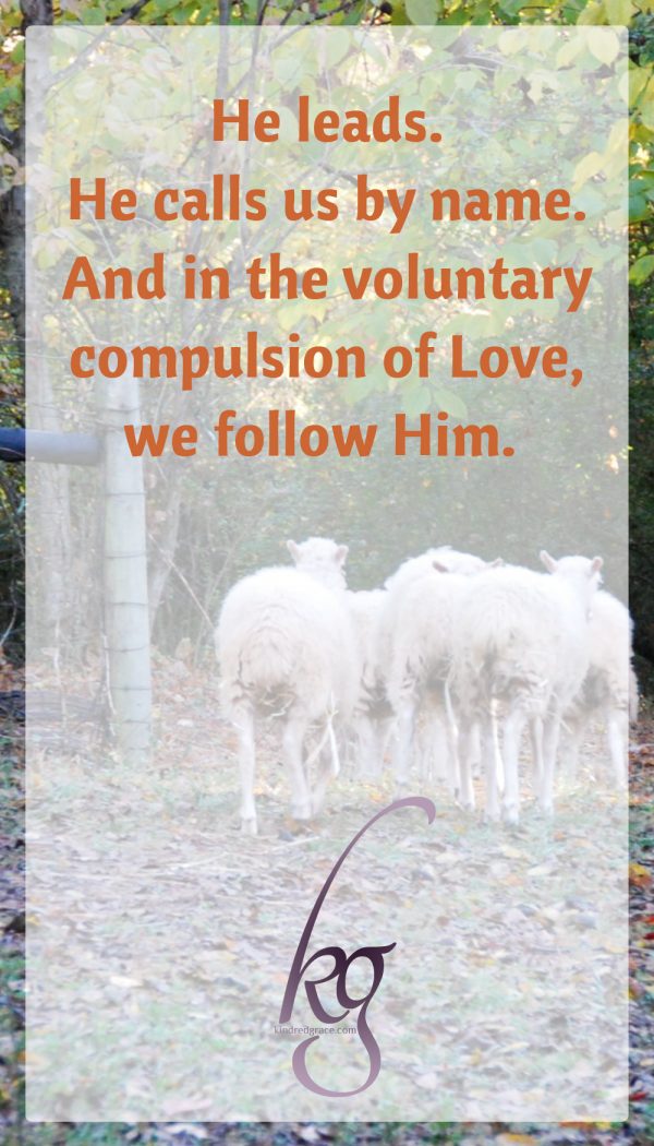 He leads. He calls us by name with a voice that is our soul’s sweetest music. And in the voluntary compulsion of Love, we follow Him. And what follows us? Goodness and mercy, all sufficient and all encompassing, all the days of our lives. Green pastures and quiet waters and an unfailing Presence in the valley of the shadow. We shall not know the meaning of want.