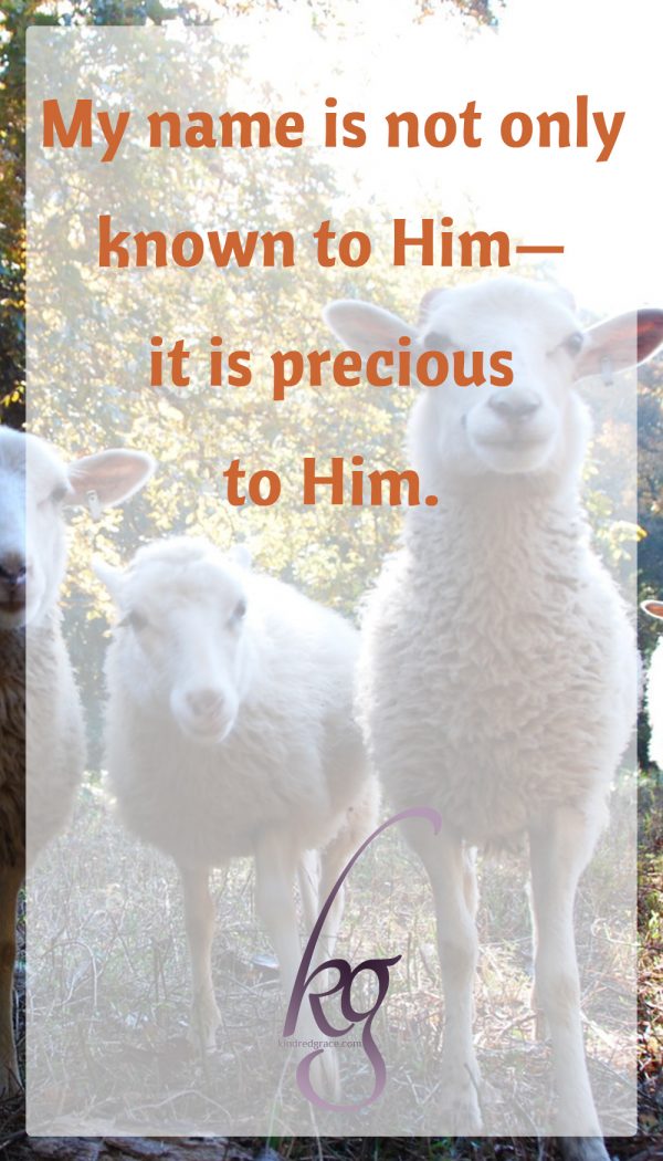 My name is not only known to Him—it is precious to Him. He is not only acquainted with but passionately interested in the details that make up my life. Nothing is too unpleasant a task for His ministering hand. He cares for me every bit as tenderly as I do my flock of seven—every bit and a universe’s worth of more. And when I follow Him, my joy is second only to His.