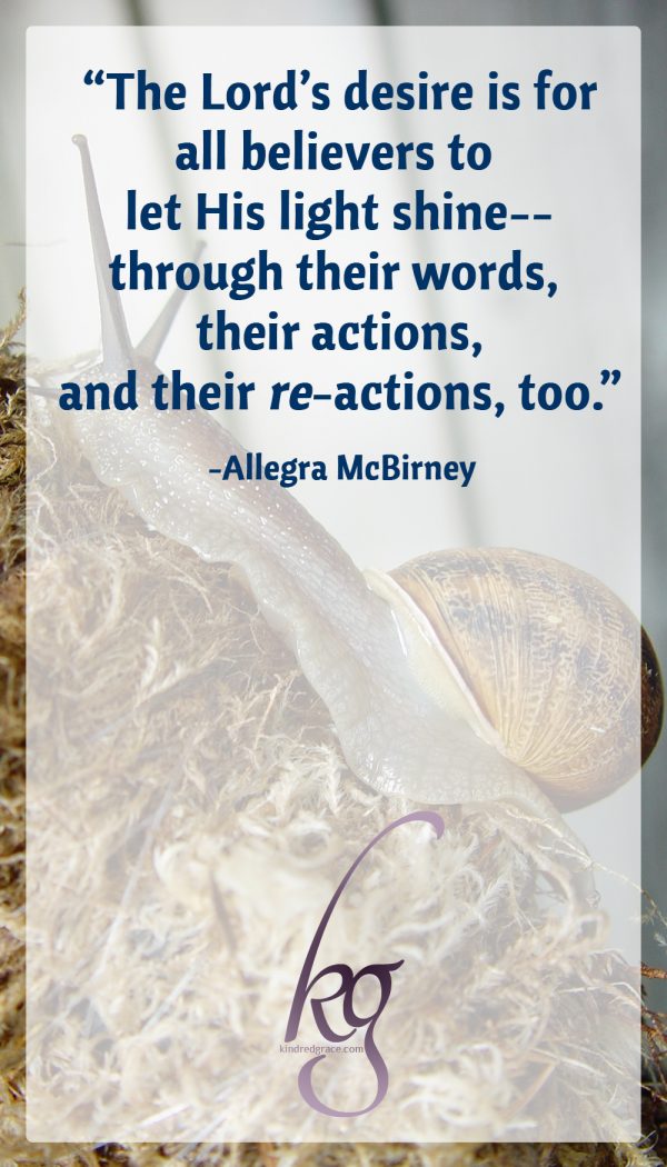 The Lord’s desire is for all believers to let His light shine--through their words, their actions, and their re-actions, too--and also through their love for others… a love that has its Source in His Presence within them. “Letting” His Light shine reveals not only that Presence of Jesus within the believer, but also brings glory to the Father in Heaven--and brings unbelievers to faith in Jesus as their Saviour, too. (from Wonderful Names of Jesus by Allegra McBirney)