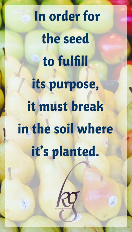 This is where all fruit begins, a simple seed. But yet in order for the seed to fulfill its purpose, it must break in the soil where it’s planted.