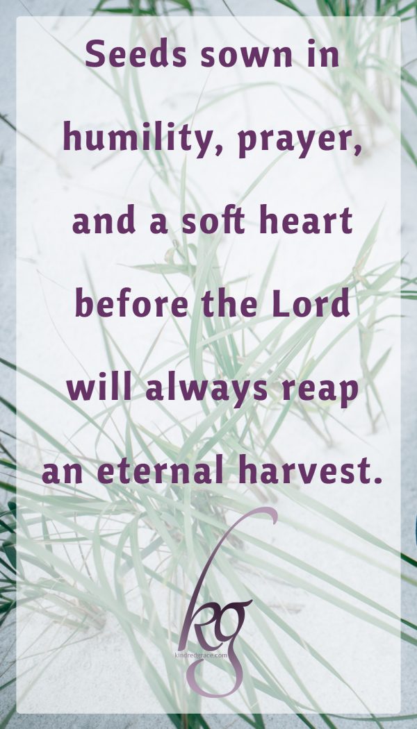 Seeds sown in humility, prayer, and a soft heart before the Lord will always reap an eternal harvest.