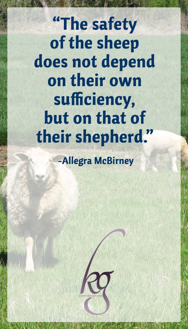 “The safety of the sheep does not depend on their own sufficiency, but on that of their shepherd.” (Allegra McBirney)