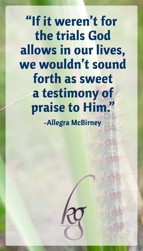 The pressure then was necessary for the praise now… If it weren’t for the trials, the hard things God allows in our lives, we wouldn’t sound forth as sweet a testimony of praise to Him, either. (from God’s Harp by Allegra McBirney)